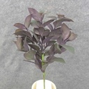 MINT LEAF BUSH X5 15" PURPLE/GREEN