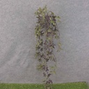 HANGING POTATO LEAF BUSH 46.5&quot; PURPLE/GREEN