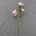 38" MAGNOLIA BLOOM SPRAY X3 CREAM/PINK