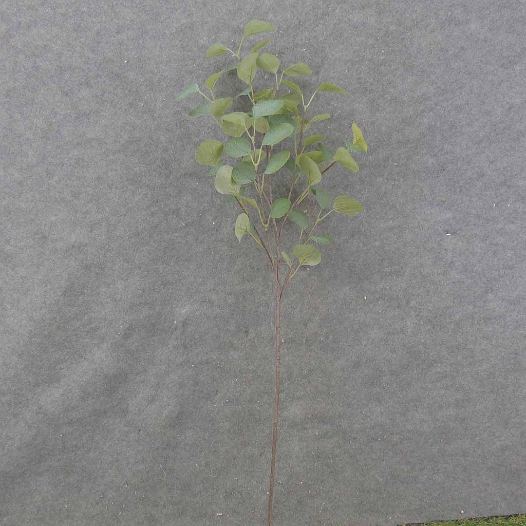 [SA0009] 35" EUCALYPTUS STEM X8