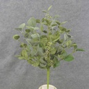 SEEDED EUCALYPTUS BUSH 21&quot; W/GREEN &amp; FROSTED LEAVES
