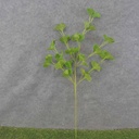 28" GINKGO LEAF SPRAY X6