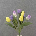 19" TULIP BUSH X9 LAVENDER/YELLOW