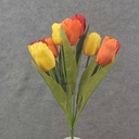 19" TULIP BUSH X9 ORANGE/RED/YELLOW