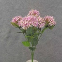 16" VIBURNUM BUSH X5 PINK