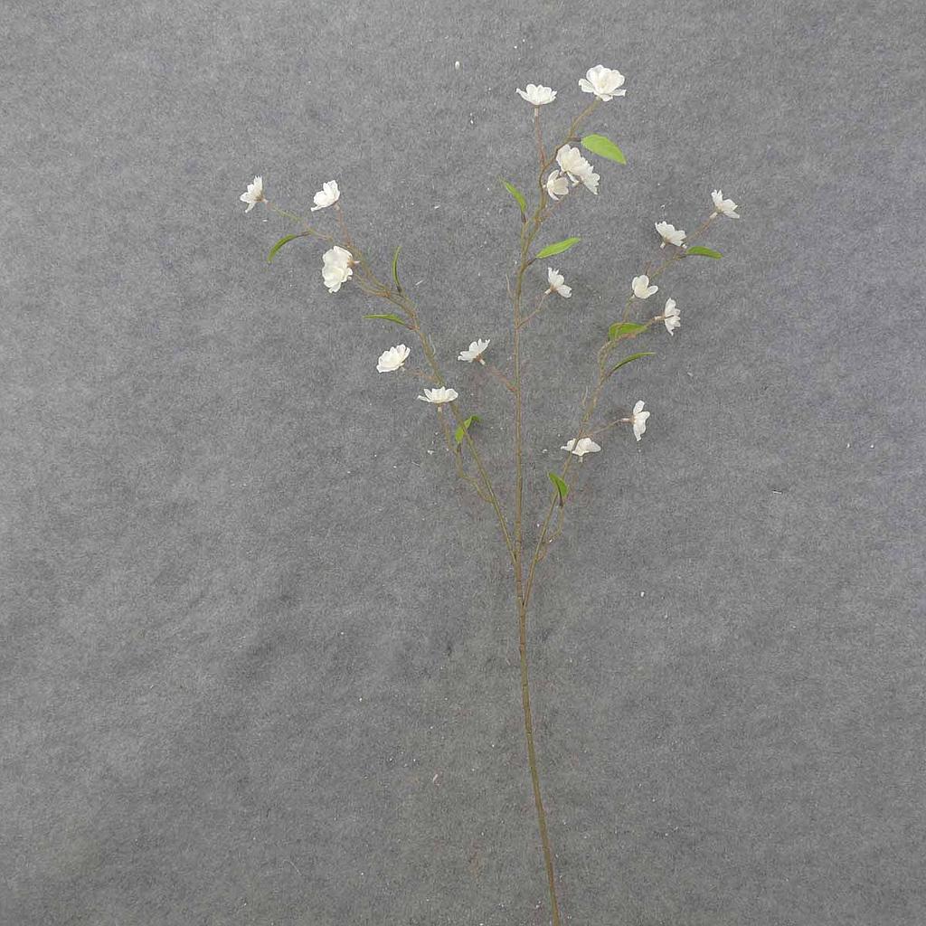 CHERRY BLOSSOM SPRAY X3 40&quot;  CREAM/WHITE