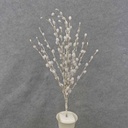 PUSSY WILLOW SPRAY X18 W/BERRIES