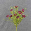 21" POPPY BUSH X11 BEAUTY (PAPER)