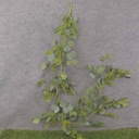 SEEDED EUCALYPTUS GARLAND 62"
