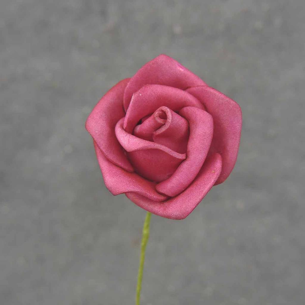 MINI ROSE BUNDLE X12  BEAUTY