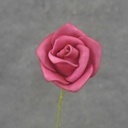 MINI ROSE BUNDLE X12  BEAUTY
