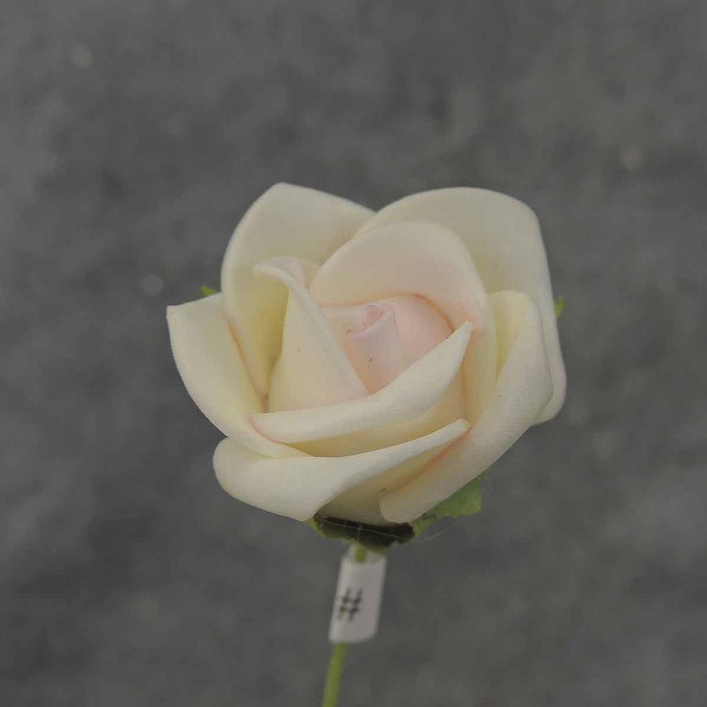MINI ROSE BUNDLE X12  CREAM/PINK