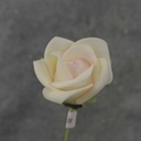 MINI ROSE BUNDLE X12  CREAM/PINK