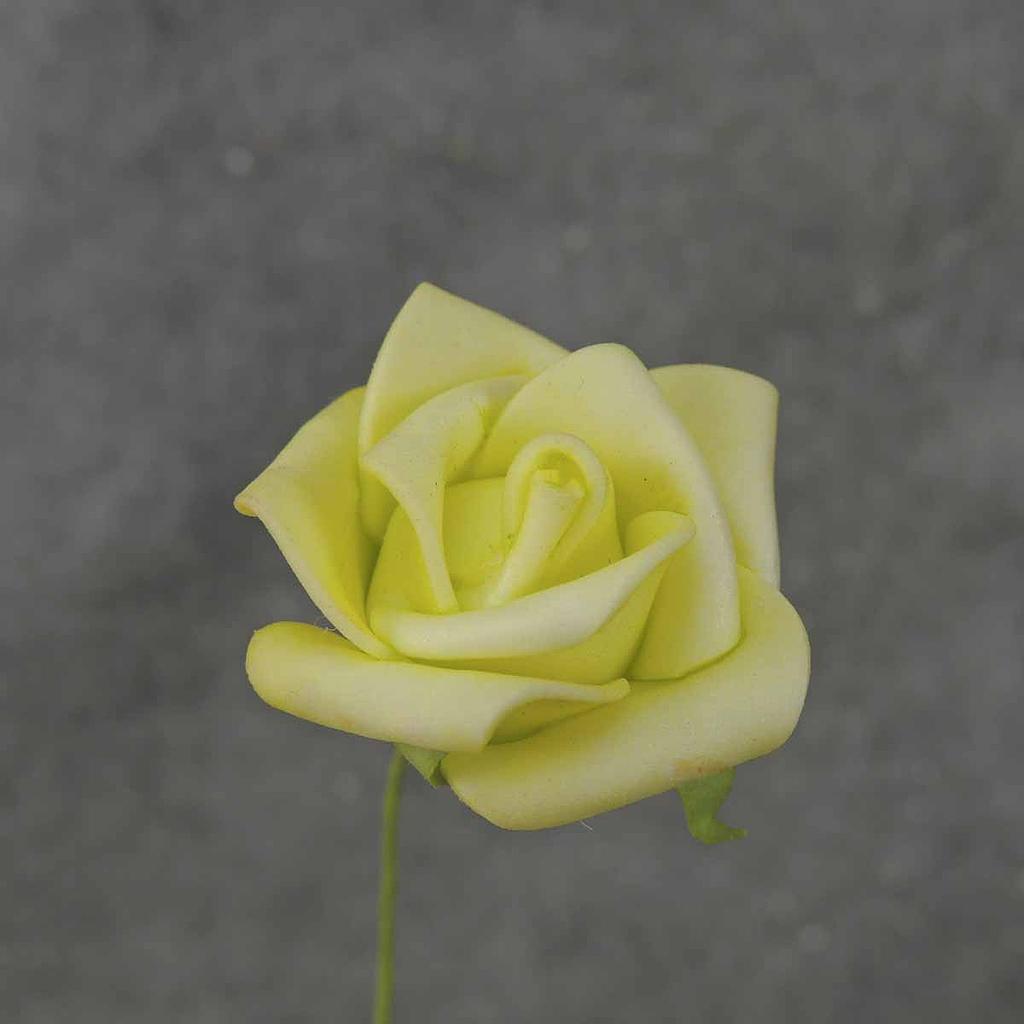 MINI ROSE BUNDLE X12  GREEN