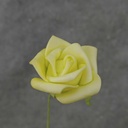 MINI ROSE BUNDLE X12  GREEN