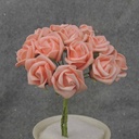 MINI ROSE BUNDLE X12  PEACH