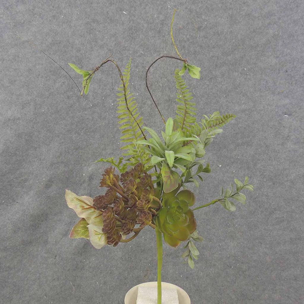 [SA0025] 18" MIXED SUCCULENT & FERN SPRAY