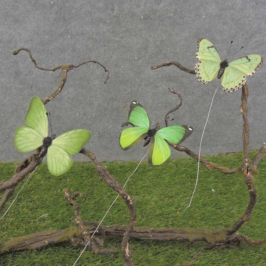 3" BUTTERFLIES 3-ASST GREEN PRINTED