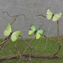 3" BUTTERFLIES 3-ASST GREEN PRINTED