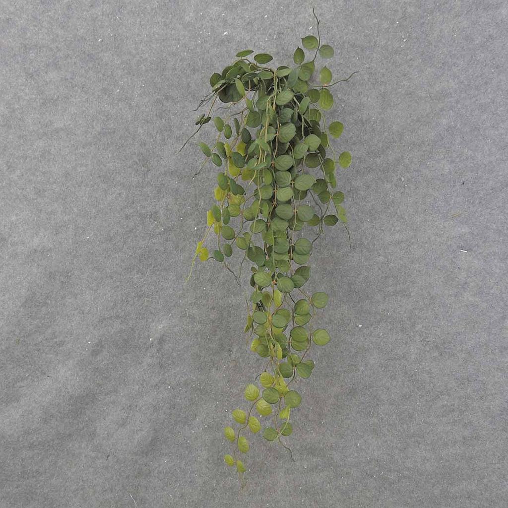 [SB0052] 32" BUTTON FERN VINE HANGING