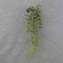 32" BUTTON FERN VINE HANGING