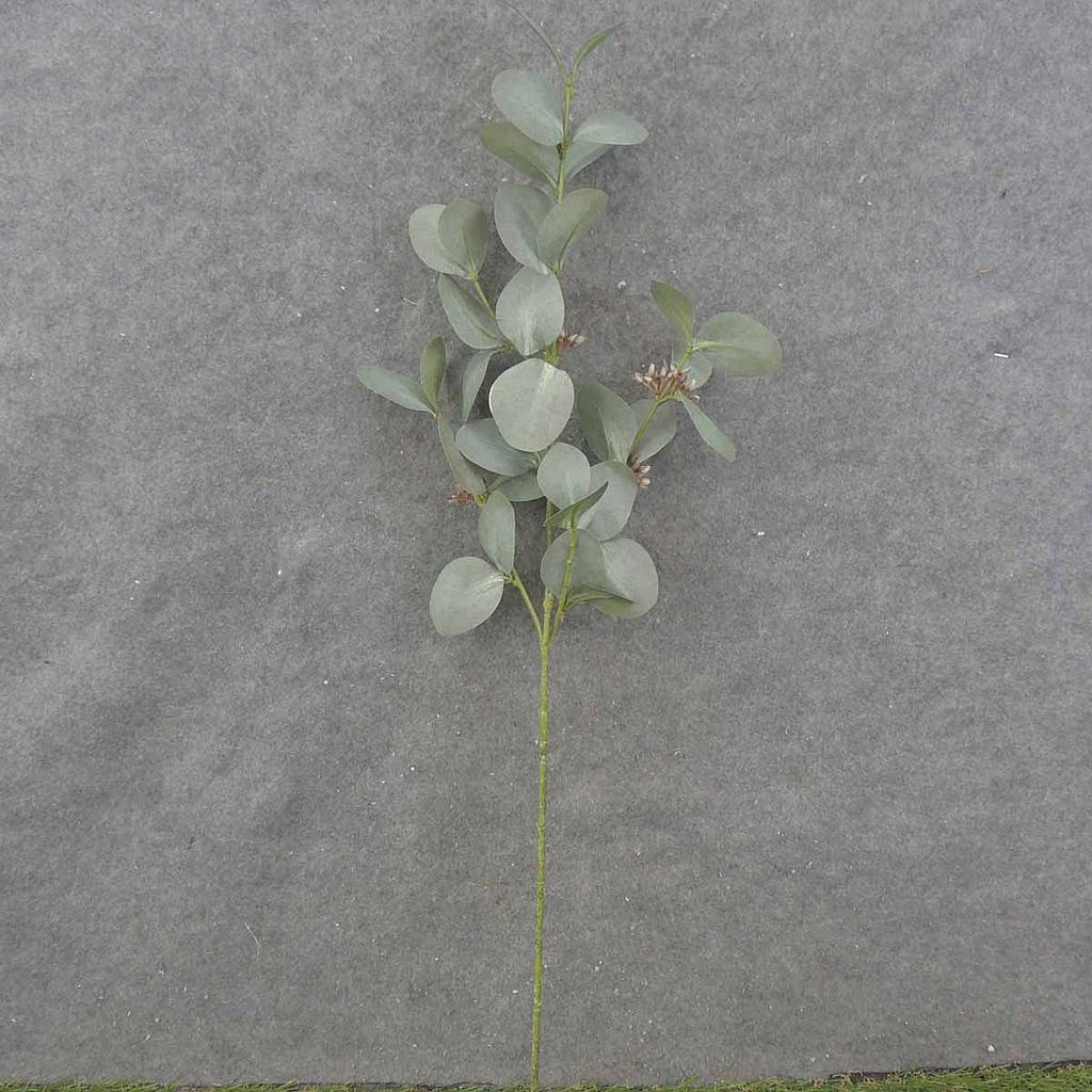 [SB0055] 29" EUCALYPTUS SPRAY X4 SEEDED