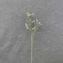 28" LAMBS EAR SPRAY FLOCKED