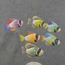 TROPICAL FISH 4.25"x2.75" ON 10" PICK 6-ASST