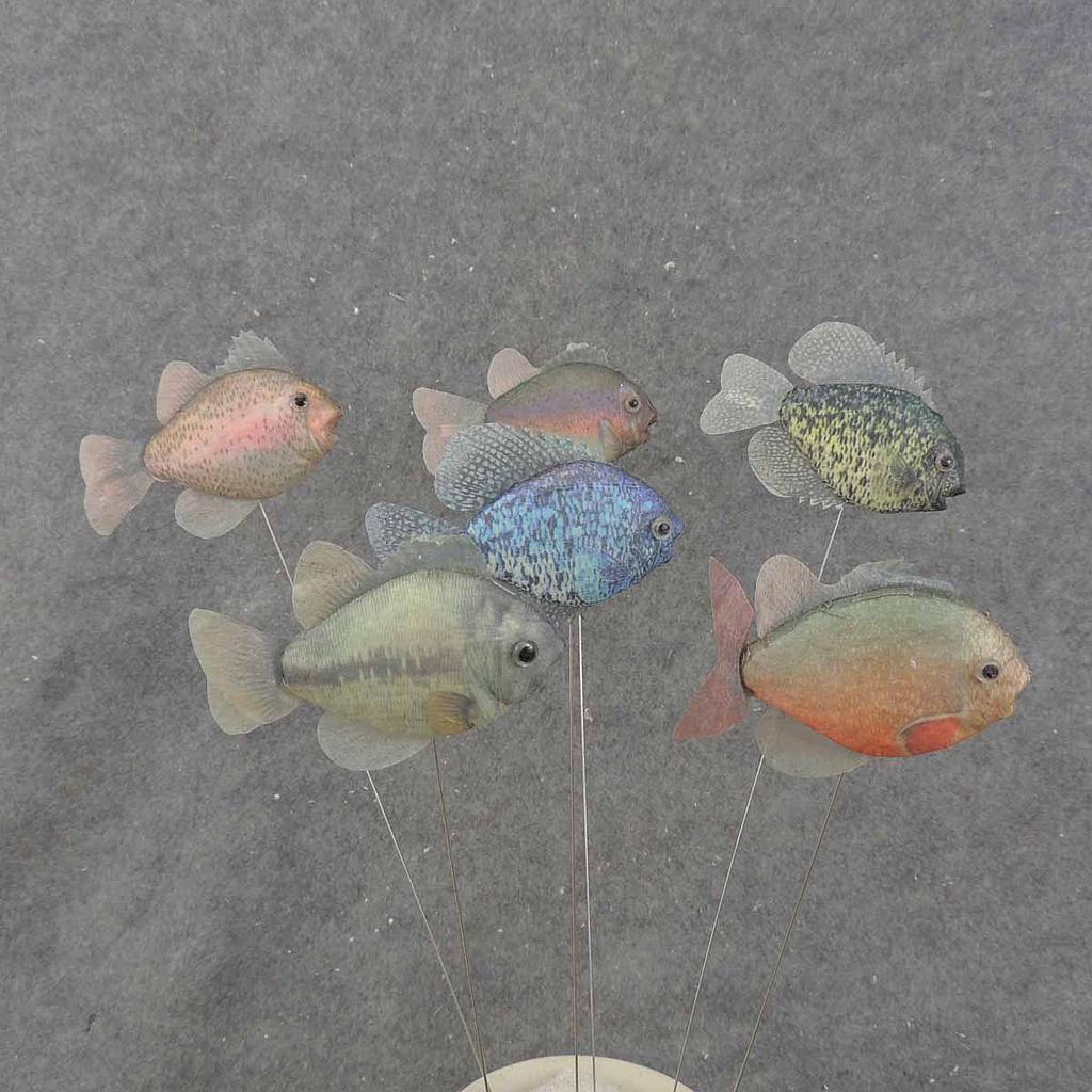 FISH ASSORTMENT 4.25"x3" ON 10" PICK