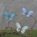4" FEATHER BUTTERFLY 3-ASST BLUE MIX W/CLP