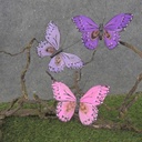 4" FEATHER BUTTERFLY 3-ASST PINK/PURPLE/LAVENDER MIX W/CLP