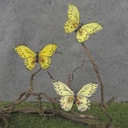4" FEATHER BUTTERFLY 3-ASST YELLOW MIX W/CLP