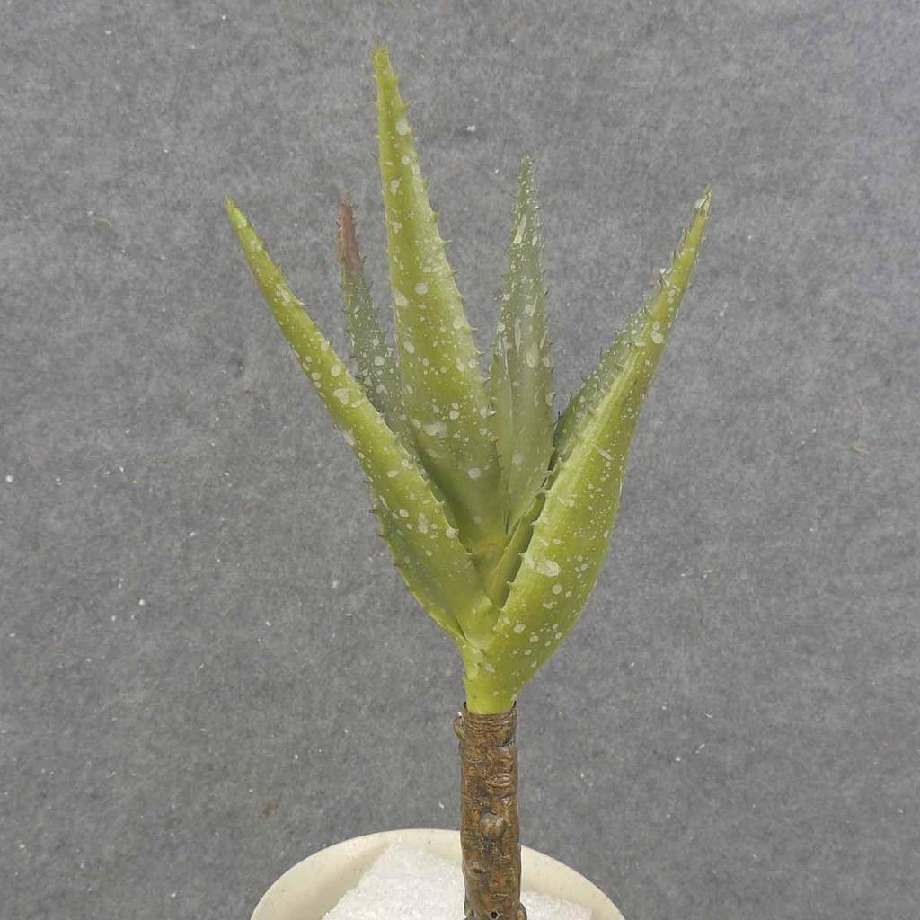 8.5" ALOE VERA PLANT LIGHT GREEN