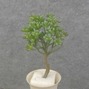 8" SEDUM SUCCULENT PICK GREEN