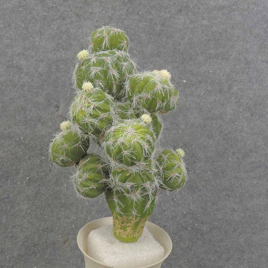 BALL CACTUS PLANT 11" 