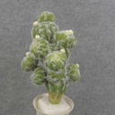 BALL CACTUS PLANT 11" 