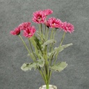 GERBERA DAISY  BUSH X10 MAUVE