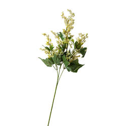 ASTILBE 27&quot;/ ENG. IVY SPRAY X3 YELLOW/GREEN