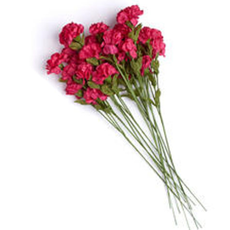 [S7008-SPK] CARNATION X 3 SHOCKING PINK