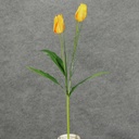 30" TULIP/ONION GRASS SPRAY X2 YELLOW