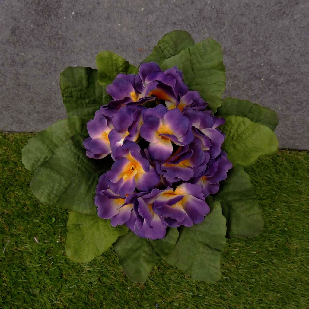 PRIMULA (AFRICAN VIOLET) BOUQUET PURPLE/YELLOW