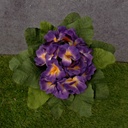 PRIMULA (AFRICAN VIOLET) BOUQUET PURPLE/YELLOW