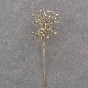 10" CHAMPAGNE GLITTER BERRY PICKS