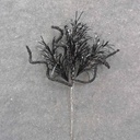 14" BLACK TINSEL & SEQUIN PICK