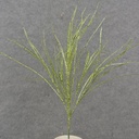 GREEN GLITTER GRASS BUSH X6