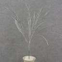 SILVER GLITTER GRASS BUSH X6