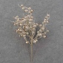 16" CHAMPAGNE GLITTER BERRY BUSH X5
