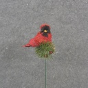 3" SISAL CARDINAL ON A PICK WITH PINE