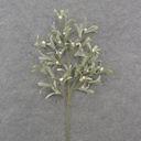 23.5" FROSTED MISTLETOE SPRAY WITH BERRIES