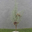 18" PINE TREE W/CONES & TWIGS